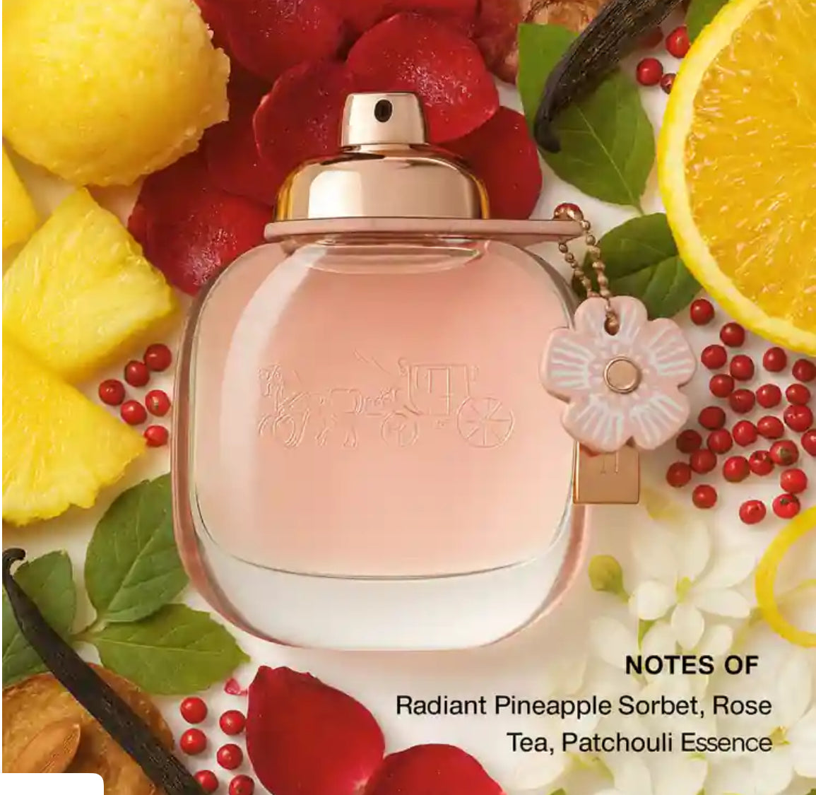 Coach – Floral | 3 oz Eau de parfum spray for women